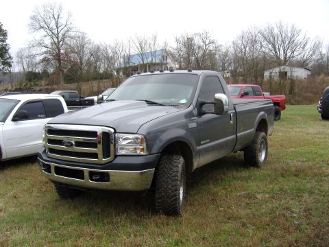2007 Ford Mustang - A gray Ford F-Series pickup truck is parked on a grassy field with other vehicles in the background.