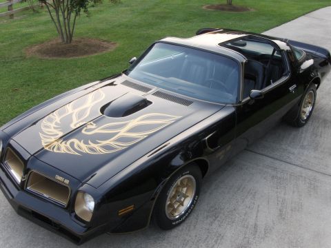 1979 Chevrolet Camaro - This black 1979 Pontiac Firebird Trans Am features iconic gold bird decals on the hood and gold wheels.