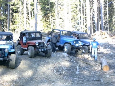 1995 Ford Bronco - Multiple Jeeps are parked on a dirt road in a forest with several people visible.