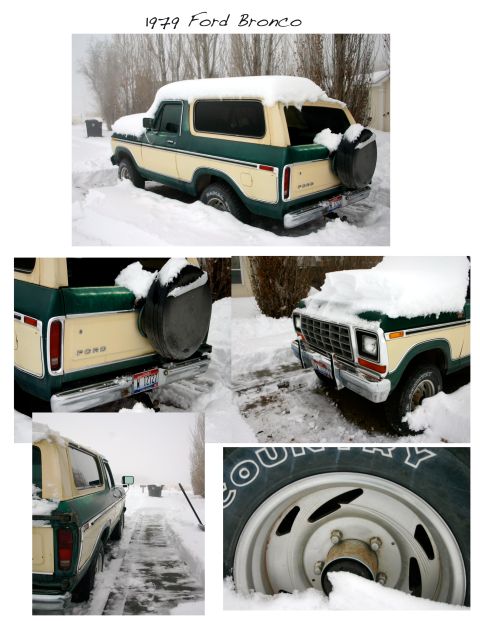 1979 Ford Bronco