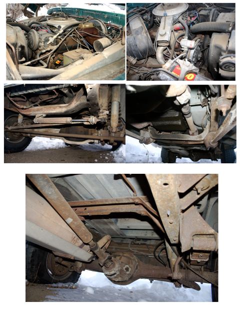 1979 Ford Bronco - Multiple views show the engine compartment and the heavily rusted undercarriage of a green vehicle.