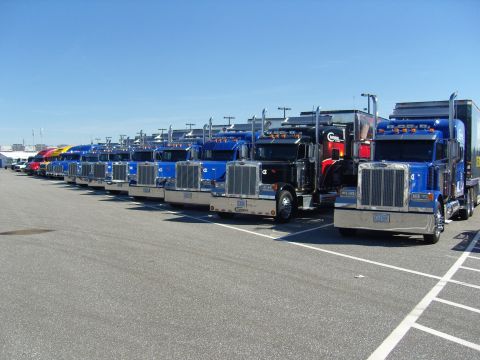 2007 Ford Mustang - A row of semi-trucks are parked in a lot on a sunny day.