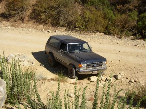 1989 Ford Bronco - This Ford Bronco is navigating a rough, unpaved road with rocky terrain and sparse vegetation.