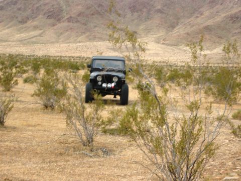 1986 Ford Bronco - A black Jeep CJ-7 is parked in a dry, desert environment with sparse vegetation and hills in the distance.