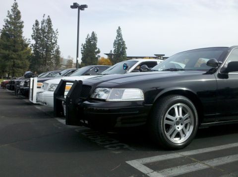 2004 Ford Crown Victoria - A line of black and white Ford Crown Victorias, including one with a push bar, are parked in a lot.