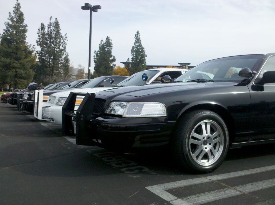 Black 2004 Ford Crown Victoria with push bar, parked in a line