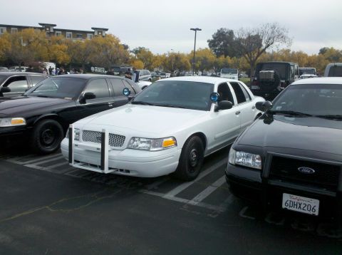 2004 Ford Crown Victoria - Several police cars, including a white Ford Crown Victoria, are parked in a lot under an overcast sky.