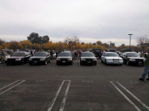2004 Ford Crown Victoria - A lineup of Ford Crown Victoria police cars and other vehicles are parked in a lot under an overcast sky.