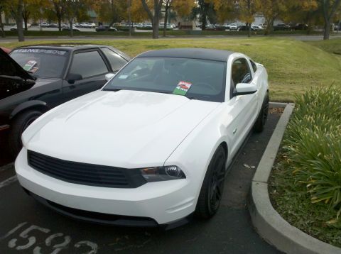 2004 Ford Crown Victoria - A white Ford Mustang is parked next to a black Mustang, with a 'Motor4Toys' sticker on the windshield of the white car.