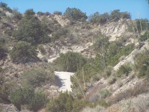 1990 Ford Bronco - A steep sandy two-track trail climbs a chaparral hillside, winding between junipers, yucca and eroded pale cutbanks under a clear blue sky.…