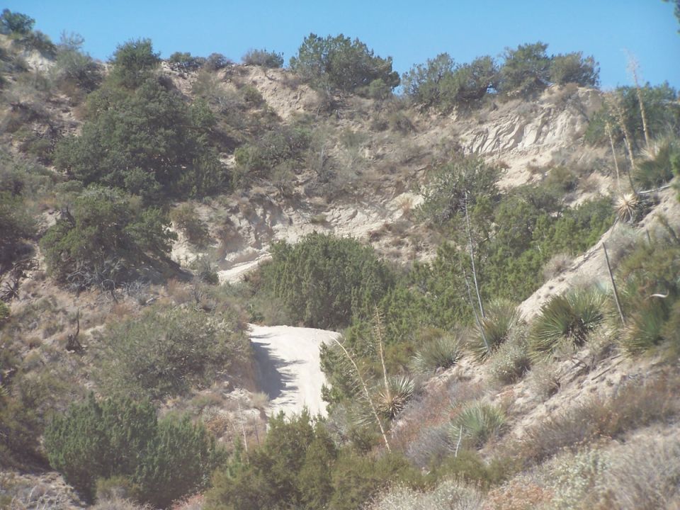 Steep sandy off-road trail climbing a juniper and yucca covered hillside