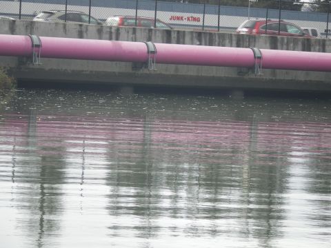 1991 Ford Bronco - A pink pipe crosses over water, with cars and a 'JUNK-KING' sign visible in the background.