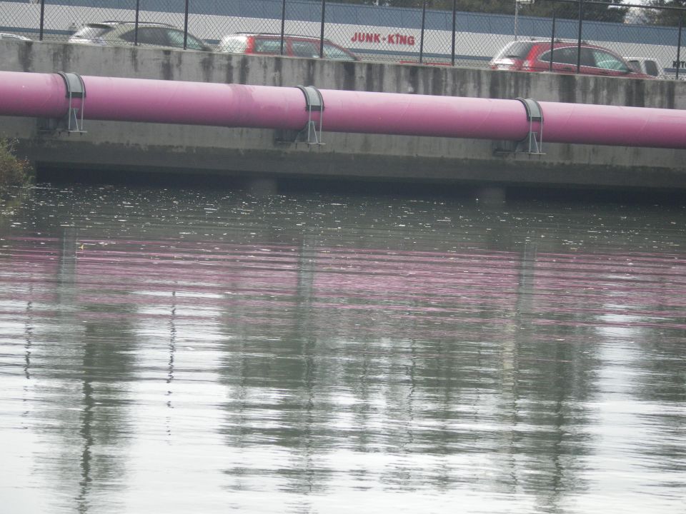 Pink pipe over water with cars and 'JUNK-KING' sign in background