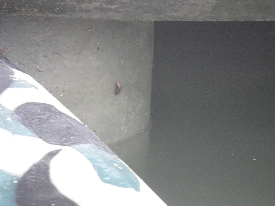 Camouflage kayak on a concrete surface next to dark water