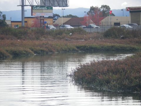 1991 Ford Bronco - A waterway scene with marsh vegetation and commercial buildings in the background.
