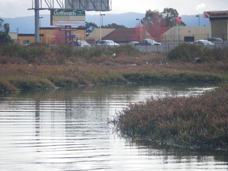 Waterway with marsh grass, distant buildings, and a billboard