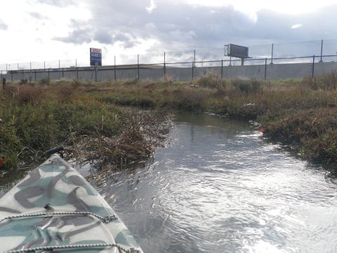 1991 Ford Bronco - Navigating a calm waterway with dense vegetation along the banks under an overcast sky.