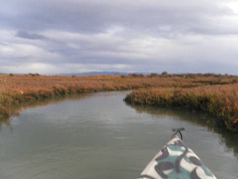1991 Ford Bronco - A kayak navigates a calm waterway through a marshy landscape under an overcast sky.