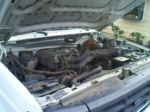 1995 Ford F-150 - Engine bay of a white truck, viewed from above with the hood raised. The Supermotors.net watermark is present in the lower right corner.