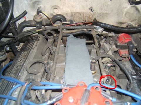 1988 Ford Bronco - The intricate network of hoses, wires, and engine parts within a vehicle's engine compartment.