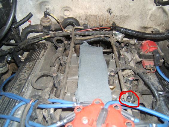 Close-up of a vehicle's engine bay with blue spark plug wires and engine components visible