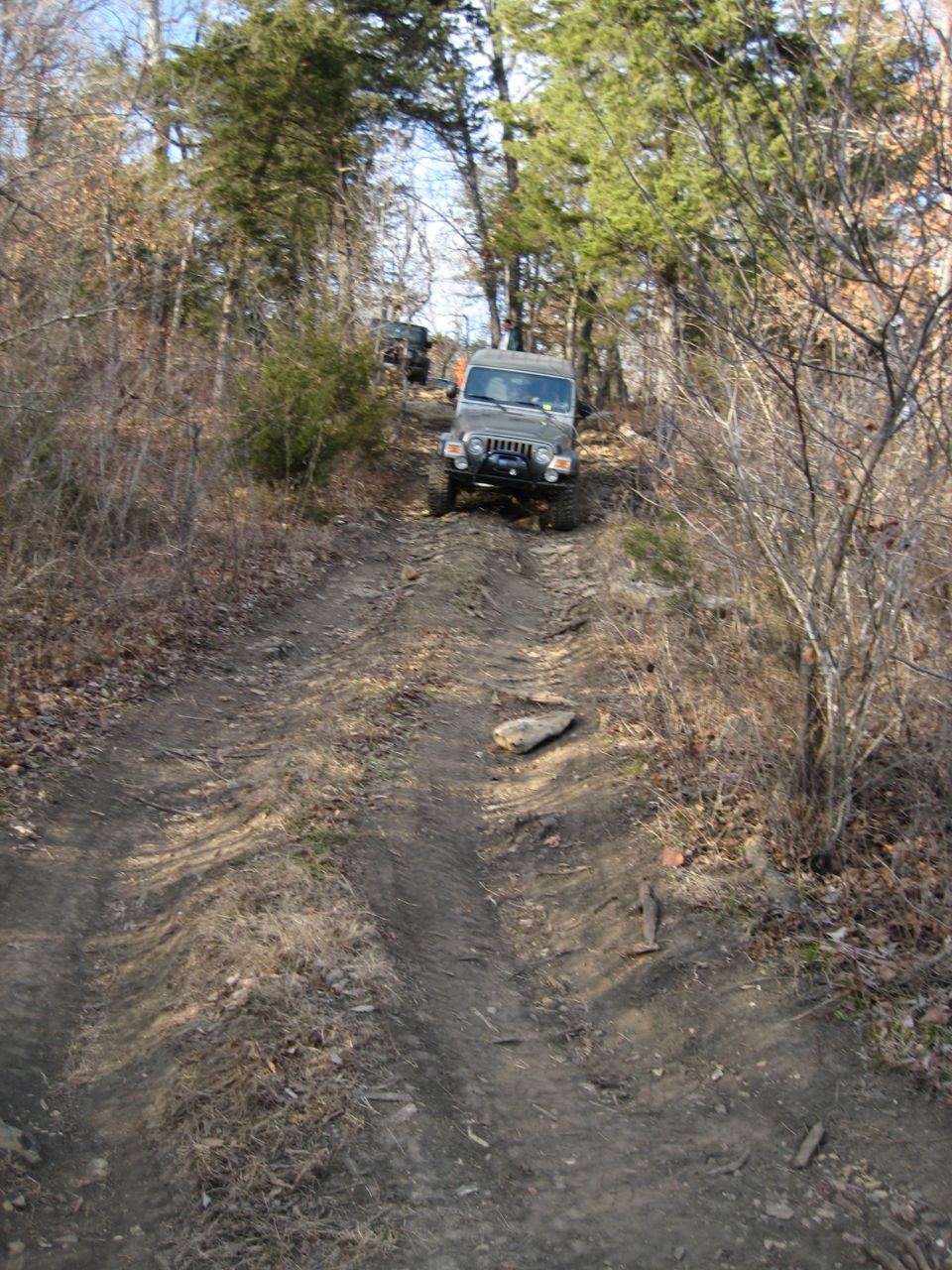 Olive green 2005 Jeep Wrangler on a wooded dirt trail