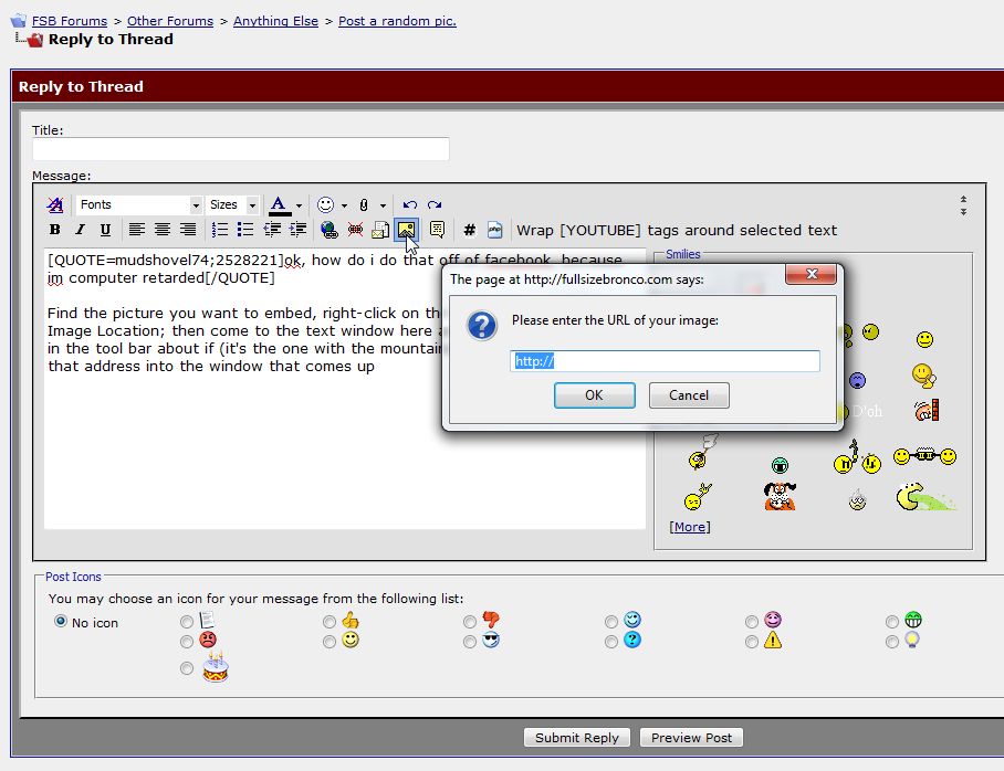 Computer screen showing a forum reply with an image upload dialog box asking for a URL