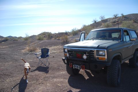 1982 Ford Bronco - A dog walks past a parked Ford Bronco in a dry, desert environment.