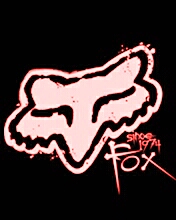 1995 Ford Bronco - Graphic the Fox Racing logo and Supermotors branding.