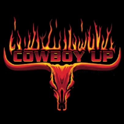 1995 Ford Bronco - Graphic a bull skull with flames and the text 'COWBOY UP'.