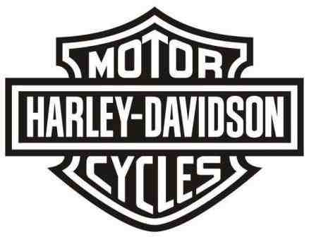 1995 Ford Bronco - This is the Harley-Davidson Cycles logo, not a 1995 Ford Bronco.