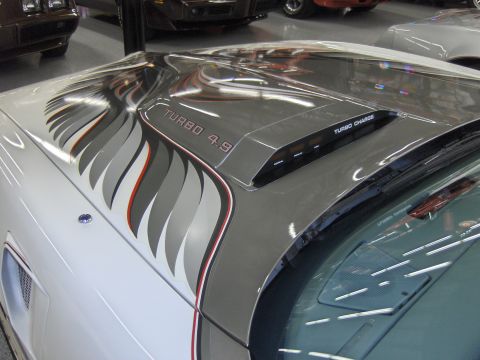 1982 Chevrolet Camaro - Hood scoop with