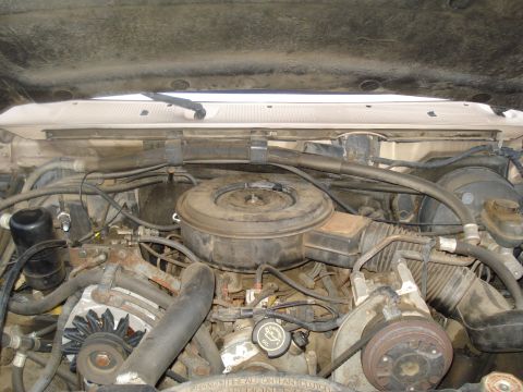 1984 Ford F-250 photo