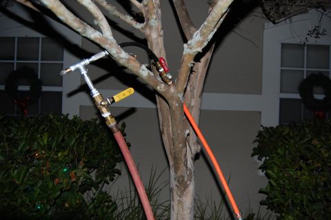 1994 Ford Bronco - Plumbing and hose connected to a tree branch, with a house visible in the background.
