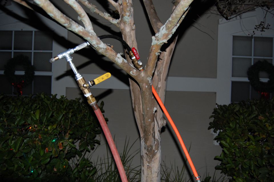 Hose and plumbing fittings attached to a tree branch, with a house and wreath in the background