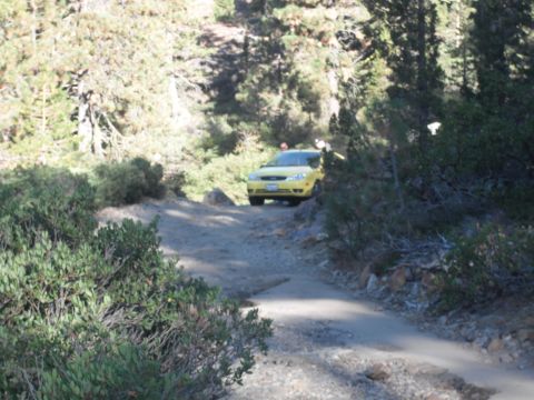 1991 Ford Bronco - A yellow car navigates a rough dirt road surrounded by trees and brush.