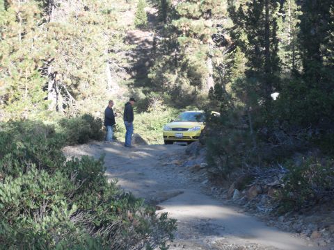 1991 Ford Bronco - Two men stand beside a yellow sedan on a dirt road surrounded by trees.