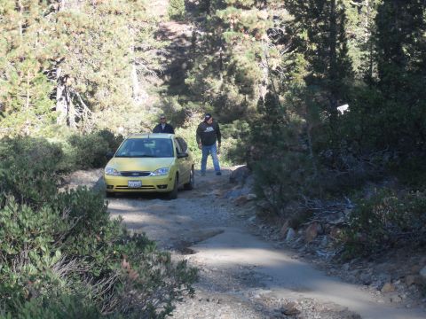1991 Ford Bronco - A yellow Ford Focus is parked on a dirt road in a wooded area with two people standing next to it.