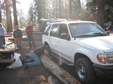 1991 Ford Bronco - A group of people are gathered around a white SUV in a wooded area, with one person attending to the vehicle's undercarriage.