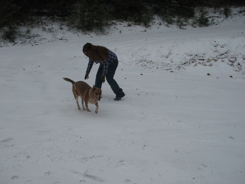 Person playing with dog in snowy landscape