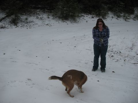 1995 Ford Bronco - A dog and a person stand in a snowy outdoor scene.