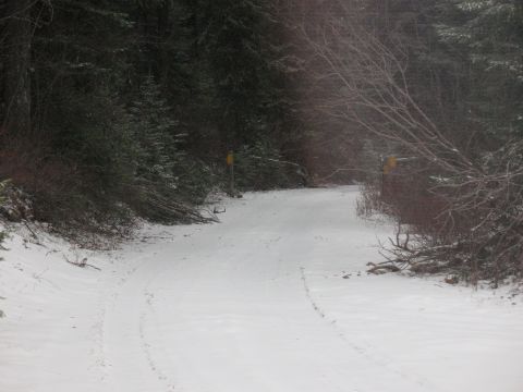 1995 Ford Bronco - A snow-covered road winds through a dense forest, with yellow markers visible along the path.