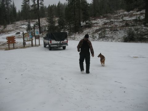 1995 Ford Bronco - A person and their dog walk across a snowy area towards a pickup truck covered with a tarp.