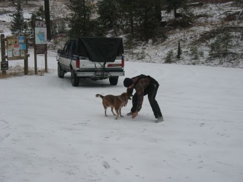 1995 Ford Bronco - A person interacts with a dog in a snowy area next to a Ford pickup truck.