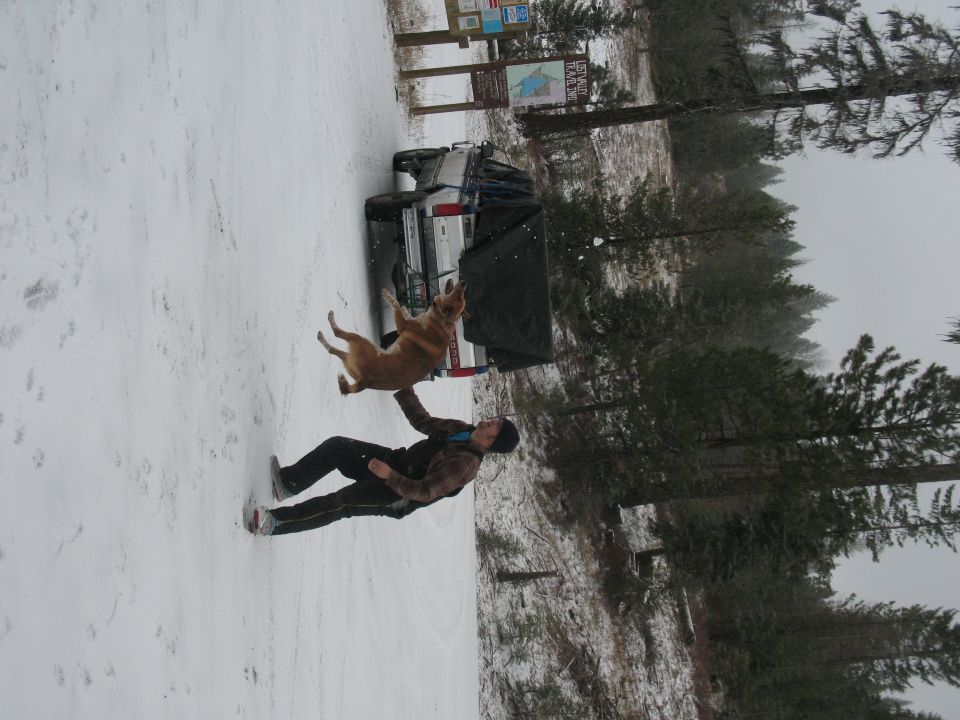 1995 Ford Bronco rear view in snow with man and dog