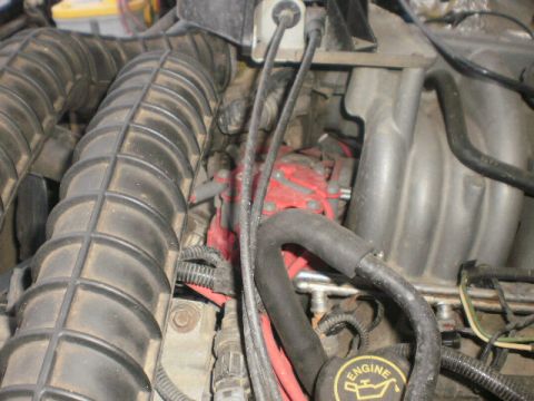 1995 Ford Bronco - Close-up view of engine components including hoses and a distributor cap.