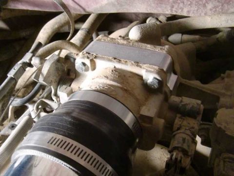 1999 Ford F-150 photo