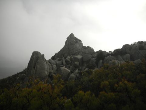 1997 Ford Ranger - A view of a rocky mountain landscape with dense foliage in the foreground.