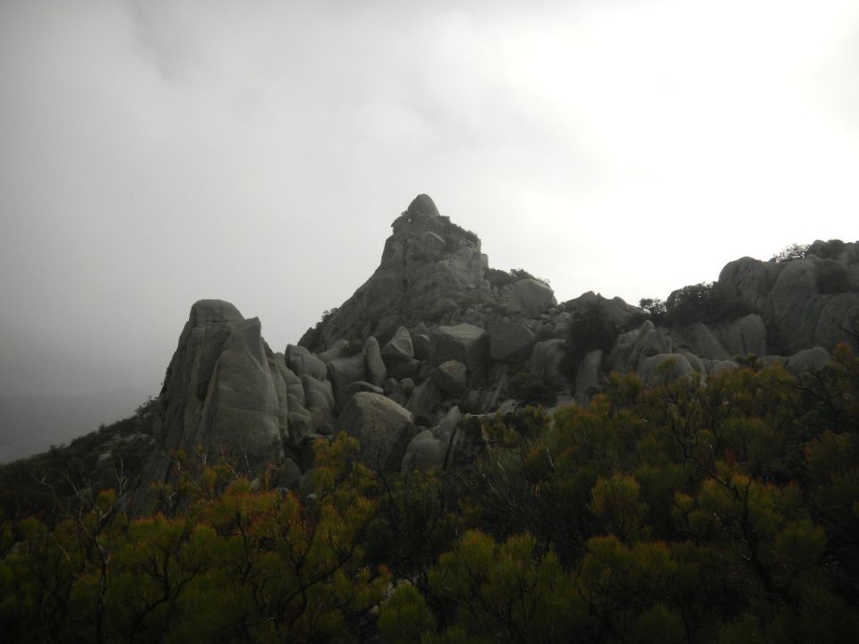 Rocky mountain landscape with trees in the foreground under a cloudy sky
