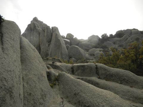 1997 Ford Ranger - A vast expanse of weathered rocks and boulders dominates the landscape, with a few hardy plants clinging to the stony ground.